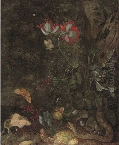 A Forest Floor Still Life With A Snake, A Snail, Butterflies, Poppies And Other Flowers Oil Painting by Otto Marseus van Schrieck