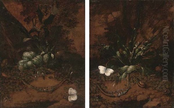 A Forest Floor Still Life With Snakes And A Butterfly (+ A Forest Floor Still Life With Snakes, Snails And Butterflies; Pair) Oil Painting by Otto Marseus van Schrieck