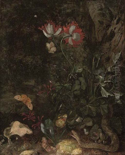 A Forest Floor Still Life With A Snake, A Snail, Butterflies, Poppies And Other Flowers Oil Painting by Otto Marseus van Schrieck