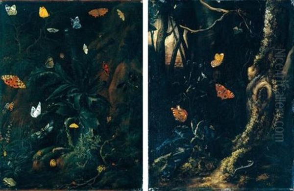 Nature Morte Con Farfalle, Ramarro, Ranocchia, Lumaca, In Un Bosco (pair, 1 Oil On Canvas) Oil Painting by Otto Marseus van Schrieck