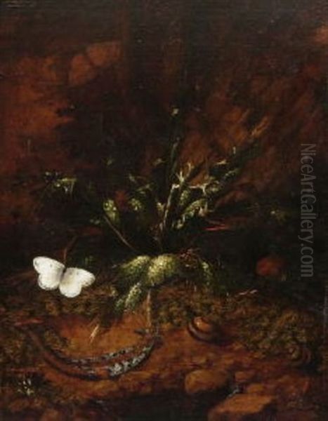 Waldstuck Mit Reptilien Und Schmetterlingen (+ Another, Similar; Pair) Oil Painting by Otto Marseus van Schrieck