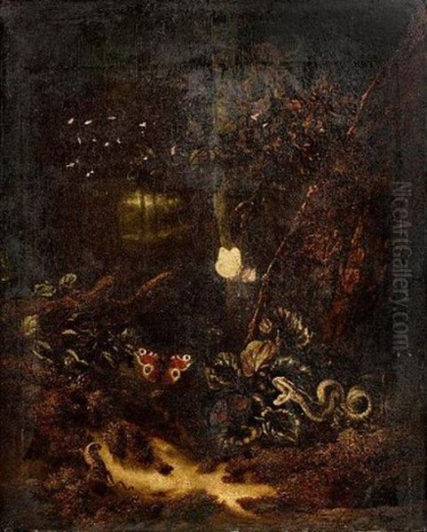 A Forest Floor Still Life With A Snake, Two Butterflies And A Lizard Oil Painting by Otto Marseus van Schrieck