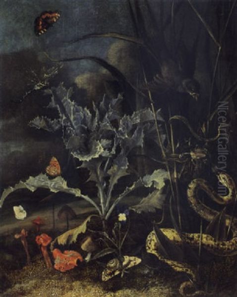 A Forest Floor Still Life With A Milk Thistle, Mushrooms, A Wood Snail, A Blue, A Queen Of Spain Fritillary, An Emperor Moth......... Oil Painting by Otto Marseus van Schrieck