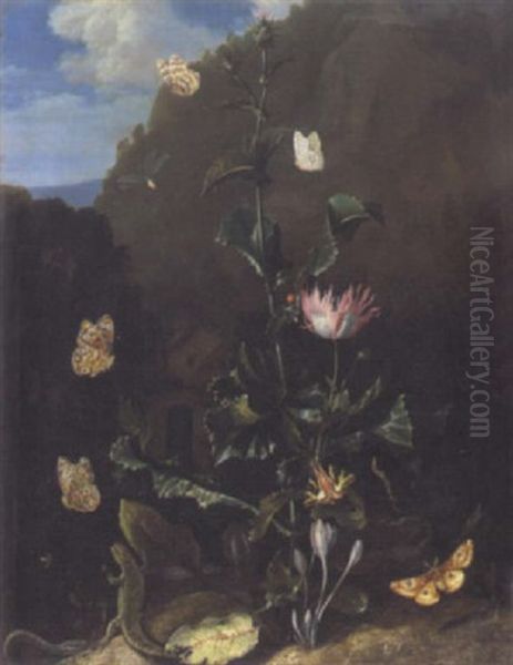 Stilleben Mit Grosser Distel, Echse, Schlange Schmetterlingen Und Libelle Oil Painting by Otto Marseus van Schrieck