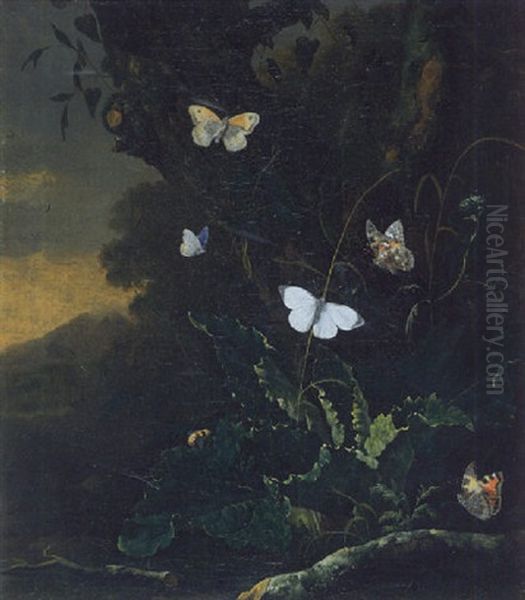 A Forest Floor Still Life With A Small Tortoiseshell, A Male Large White, A Painted Lady, A Meadow Brown, And A Member Of The Blue Family Oil Painting by Otto Marseus van Schrieck