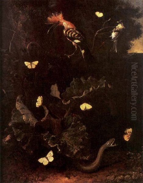 A Nocturnal Sitll Life With A Snake, Butterflies And A Hoopoe Oil Painting by Otto Marseus van Schrieck