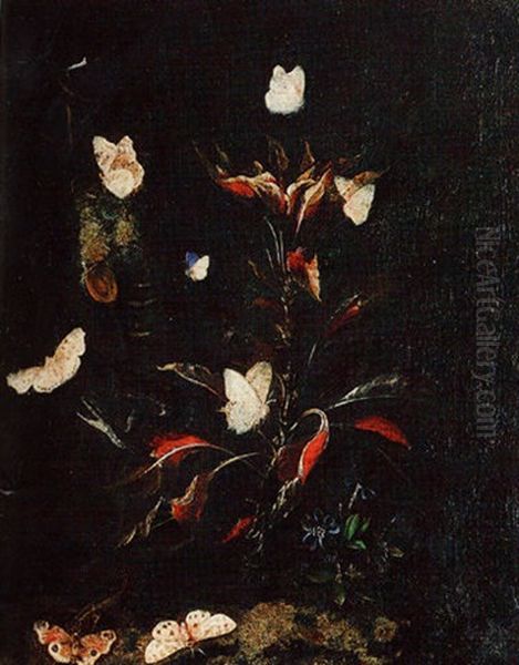 A Lizard, A Snake, Butterflies And Moths On A Forest Floor Oil Painting by Otto Marseus van Schrieck