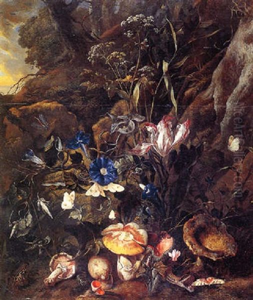 Forest Floor Still Life With Wild Flowers, Mushrooms, Butterflies, A Snake, A Frog, And A Dragonfly Oil Painting by Otto Marseus van Schrieck