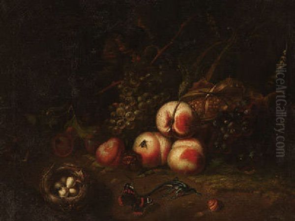 Stilleben Mit Obst, Trauben, Vogelnest, Eidechse Und Schmetterling Oil Painting by Otto Marseus van Schrieck