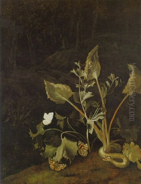 Grosblattrige Pflanze Mit Schmetterlingen Im Waldgrund Oil Painting by Otto Marseus van Schrieck