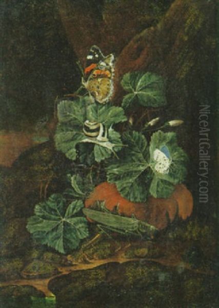 Heuschrecke, Schnecke Und Schmetterlinge Auf Blattwerk Und Kurbisfrucht Am Waldboden Oil Painting by Otto Marseus van Schrieck