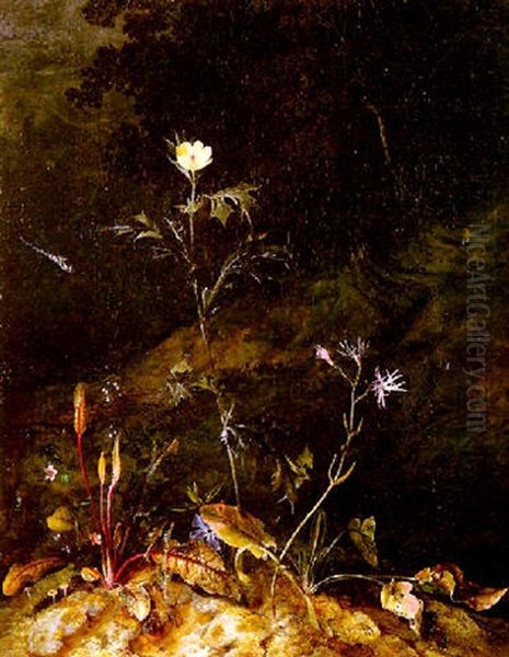 Nature Morte De Sous-bois A La Libellule Oil Painting by Otto Marseus van Schrieck