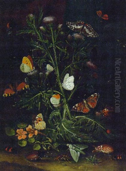 A Forest Floor Still Life With Insects And A Thistle Oil Painting by Otto Marseus van Schrieck