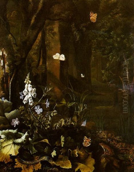 Plantes, Fleurs, Papillon, Reptile Et Grenouille Oil Painting by Otto Marseus van Schrieck