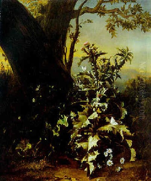 Portrat Einer Distel Im Waldesgrund Oil Painting by Otto Marseus van Schrieck