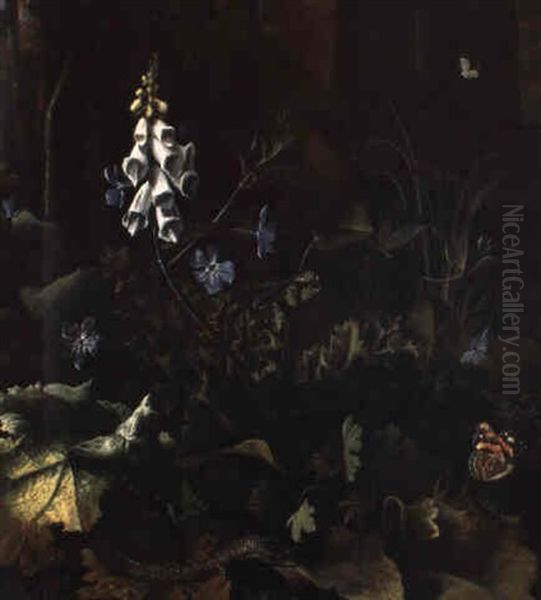 Plantes, Fleurs, Papillons, Reptile Et Grenouille Oil Painting by Otto Marseus van Schrieck