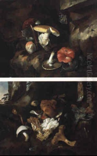 Natures Mortes De Sous-bois Aux Champignons Oil Painting by Otto Marseus van Schrieck