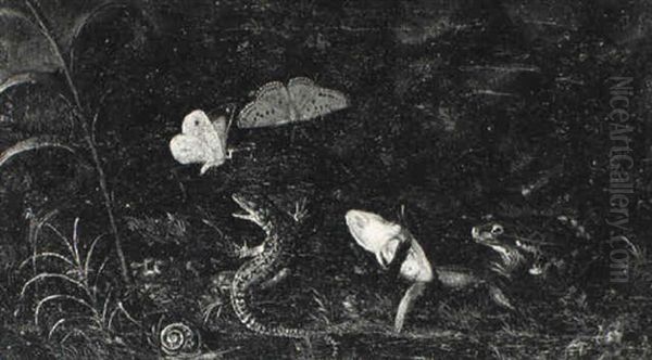 Etude De Sous-bois:  Lezard, Papillons Et Crapeaux Oil Painting by Otto Marseus van Schrieck