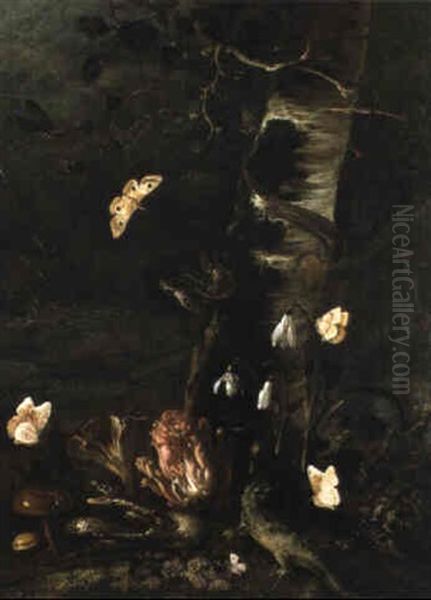 Waldstilleben Mit Schlangen Echse, Insekten Und Pilzen Oil Painting by Otto Marseus van Schrieck