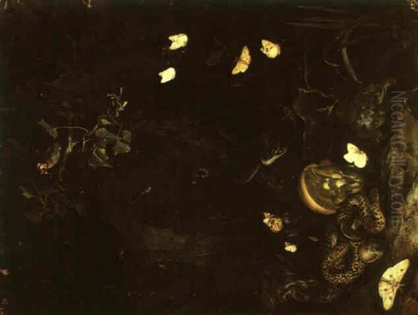 Nocturnal Still Life With Snakes, Toad, Mushrooms And Insects Oil Painting by Otto Marseus van Schrieck