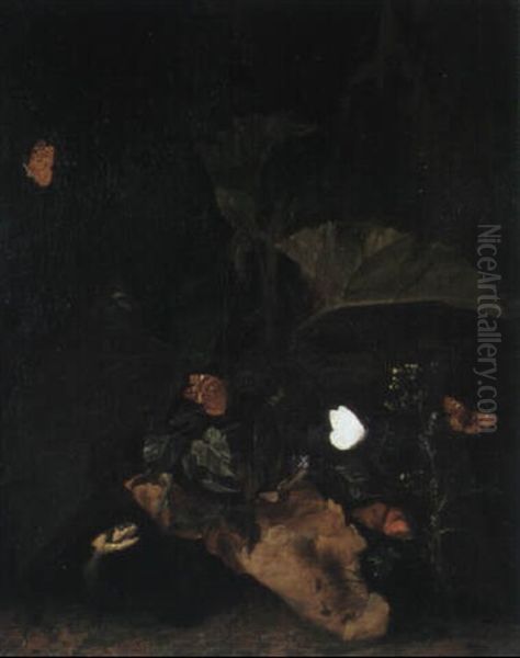 Stilleben Mit Kohlweisling Und Schlange Oil Painting by Otto Marseus van Schrieck