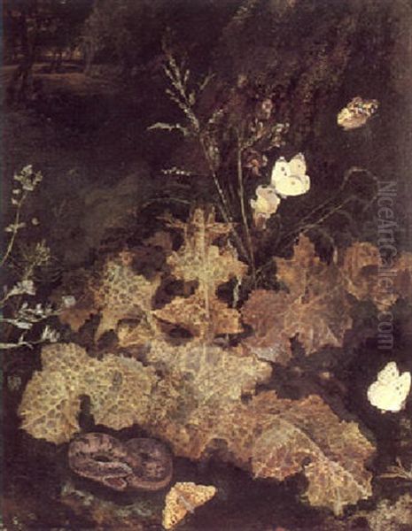 A Forest Floor Still Life Oil Painting by Otto Marseus van Schrieck