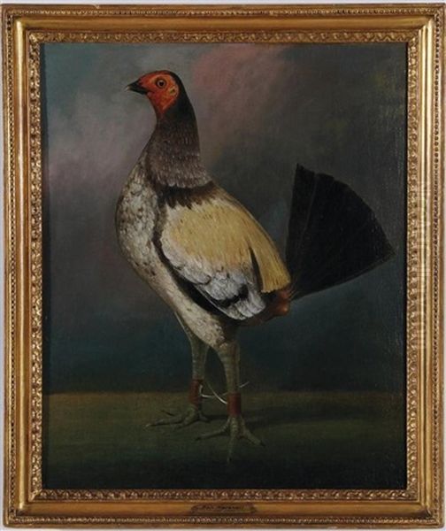 Old English Game Fowl Oil Painting by Benjamin Marshall