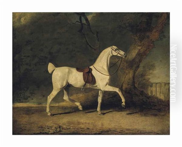 A Saddled Grey Hunter By A Tree, In A Paddock Oil Painting by Benjamin Marshall