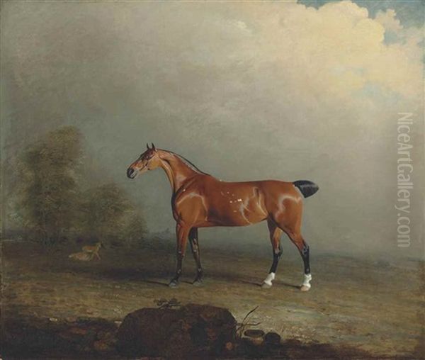 Musk, A Bay Hunter In A Landscape Oil Painting by Benjamin Marshall