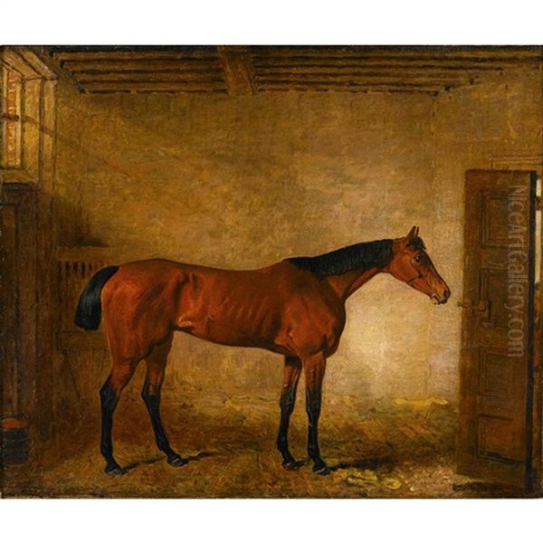 Racehorse 