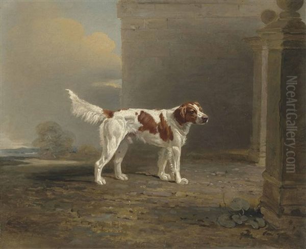 A White Setter In A Landscape By A Gateway Oil Painting by Benjamin Marshall