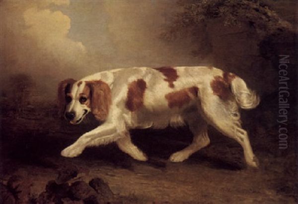 A Spaniel In A Landscape Oil Painting by Benjamin Marshall