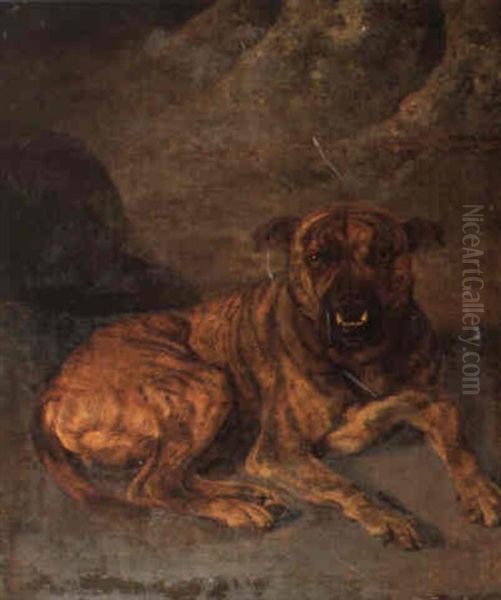 Study Of Brindle Mastif Oil Painting by Benjamin Marshall