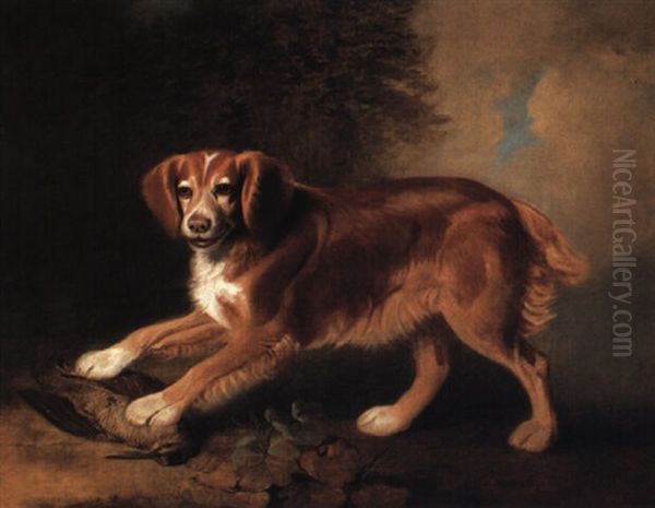 'joss', A Spaniel Of Colonel Joliff, In A Landscape With A Woodcock Oil Painting by Benjamin Marshall