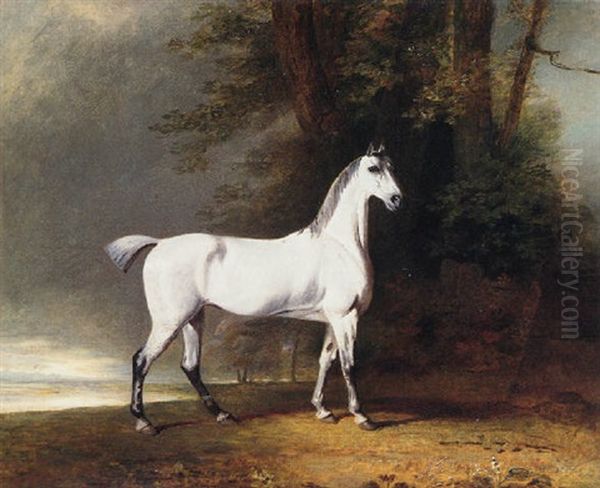 A Grey Hunter, The Property Of Lord Lonsdale, In A Landscape Oil Painting by Benjamin Marshall