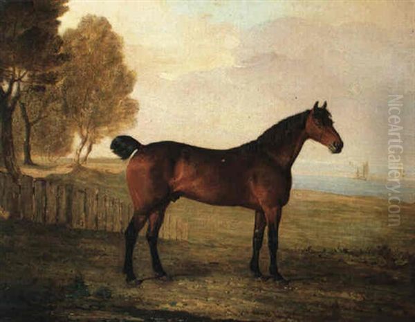 The Chestnut Hunter Berry Brown In A Field By An Estuary, With Sailing Ships In The Distance Oil Painting by Benjamin Marshall