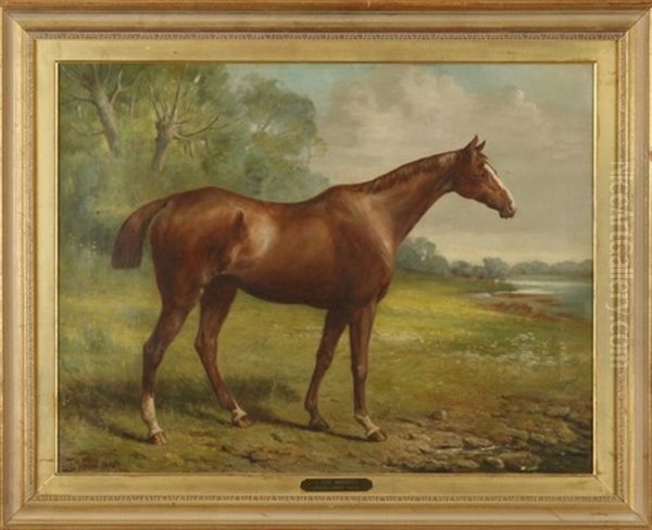 Tom Boy, Equestrian Portrait Oil Painting by John Fitz Marshall