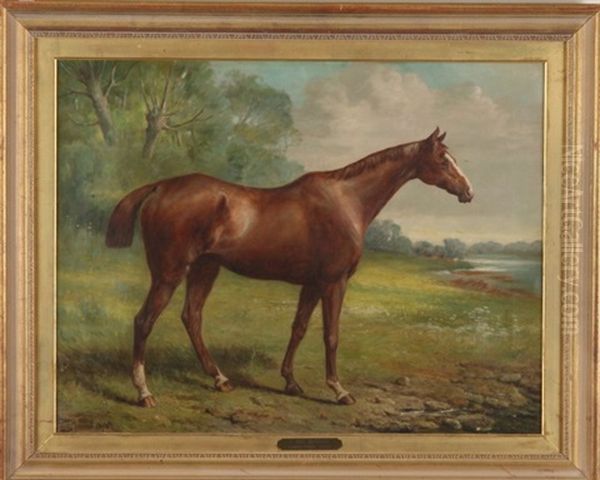 Tom Boy Oil Painting by John Fitz Marshall