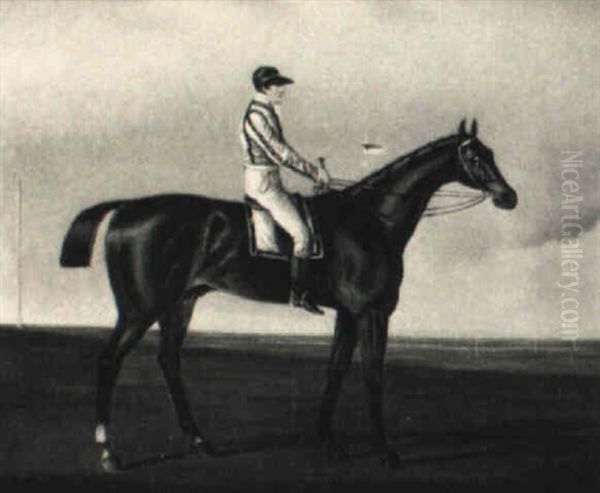 The Racehorse Albert With Jockey Up by Lambert Marshall