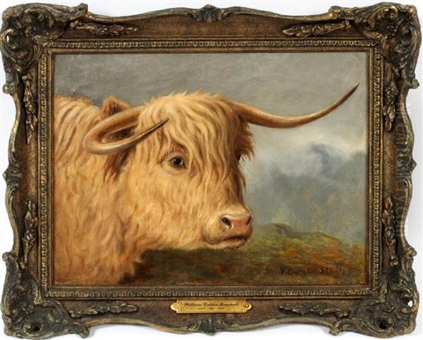 Highland Steer Oil Painting by William Elstob Marshall