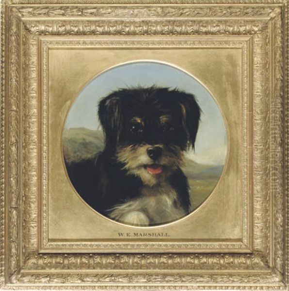 The Head Of A Terrier Oil Painting by William Elstob Marshall