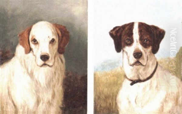 Retriever Oil Painting by William Elstob Marshall