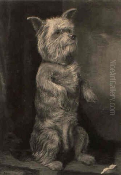 A Cairn Terrier Begging Oil Painting by William Elstob Marshall