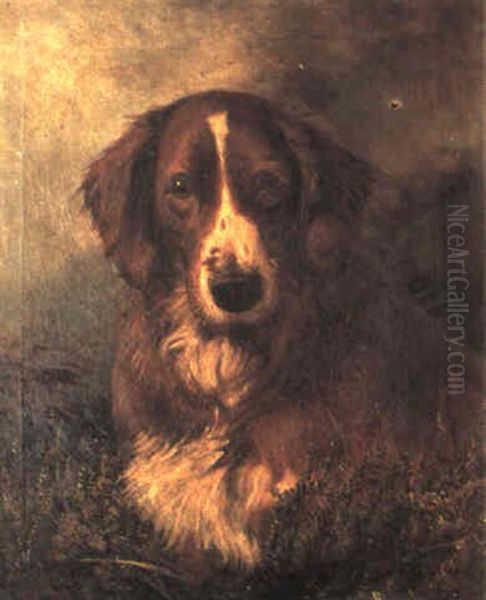 Head Of An English Setter Oil Painting by William Elstob Marshall