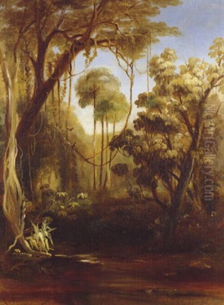 Forest Scene, Illawara Oil Painting by Conrad Martens