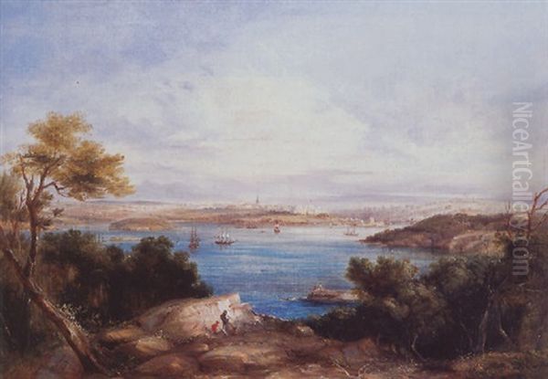 Sydney From Robertson's Point Oil Painting by Conrad Martens