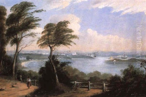 Sydney Harbour From Darling Point Road Oil Painting by Conrad Martens