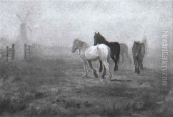 Horses In Morning Sunlight Oil Painting by Willy Martens