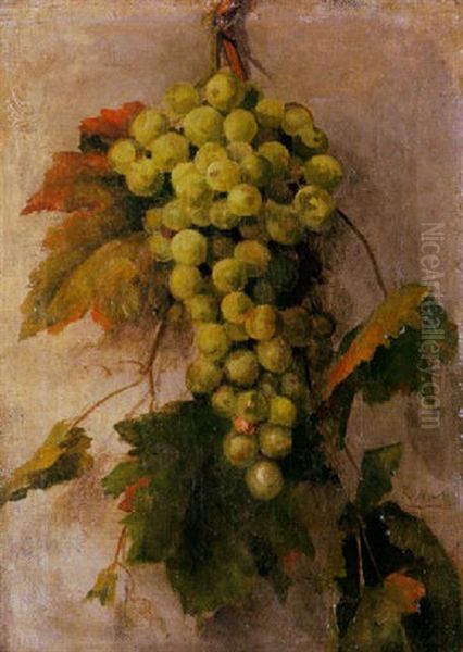 Bodegon Con Racimo De Uvas Oil Painting by Ramon Marti Alsina