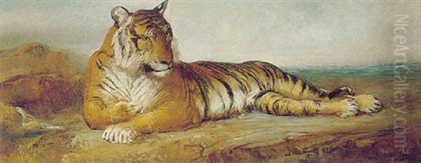 The Tiger Oil Painting by Ramon Marti Alsina